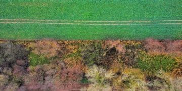 Automated Irrigation: Save Water & Boost Your Farm's Health - Cover Image