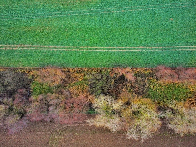 Automated Irrigation: Save Water & Boost Your Farm’s Health