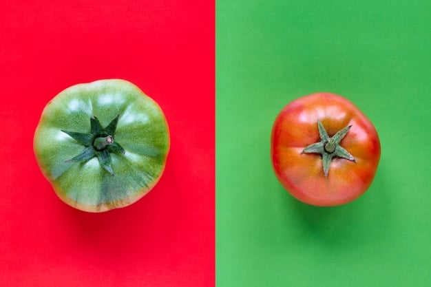 A side-by-side comparison of two tomato plants: one is a standard variety showing signs of disease, while the other is a gene-edited variety that is thriving and disease-free. This visual representation highlights the potential of gene editing to enhance disease resistance in crops.