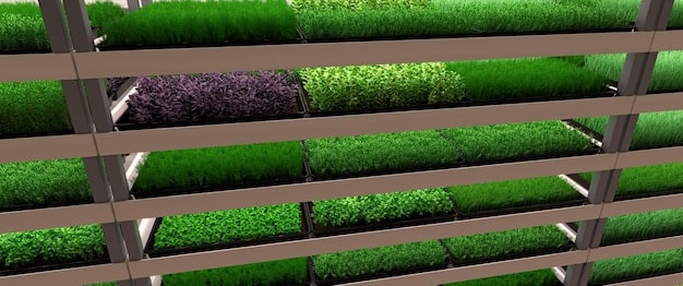 Vertical Farming: Is It a Game-Changer for US Farmers?