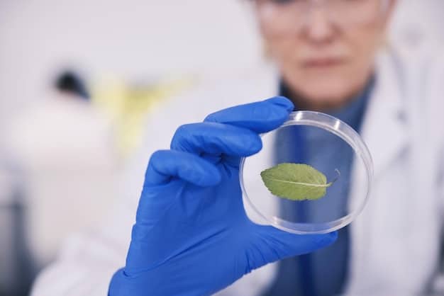 A close-up shot of a scientist in a lab coat examining a leaf of a disease-resistant plant under a microscope. The image highlights the precision and advanced techniques used in agricultural biotechnology research.