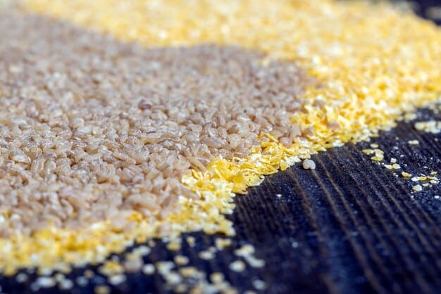 A side-by-side comparison of two rice grains: one with a regular color and the other with a golden hue, representing Golden Rice, which is enriched with beta-carotene through genetic engineering.