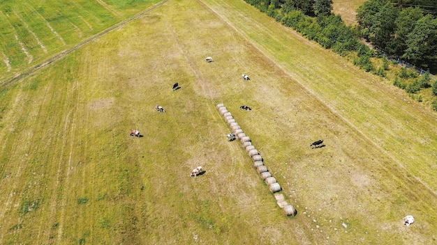 Optimizing Livestock: Precision Farming Tech for Feeding & Health