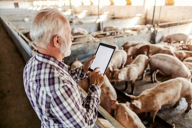 A farmer using a tablet to review real-time data on a herd of pigs inside a modern, well-lit pigsty, emphasizing the integration of technology into daily farm operations.