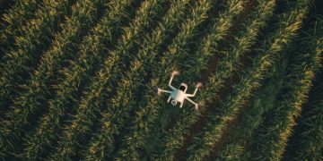 Data-Driven Farming: Boost Crop Yields & Cut Waste with Analytics - Cover Image