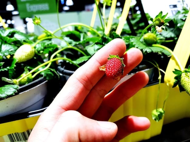 A close-up shot of a robotic arm gently harvesting ripe strawberries in a greenhouse. The robot uses advanced sensors to identify and select only the perfectly ripe berries, avoiding any damage to the plants.