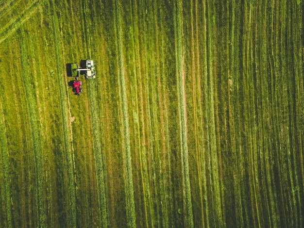 AI Soil Analysis: Boost Crop Yields by 15% in 2025