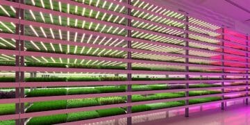 Vertical Farming in the US: Tripling Yields with CEA - Cover Image