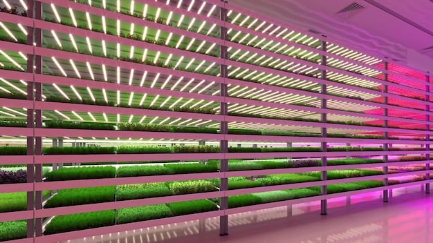 Vertical Farming in the US: Tripling Yields with CEA