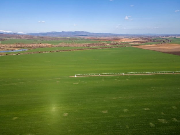 Precision Irrigation: Smart Sensors Cut Water Waste by 20%