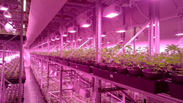Wide shot of a technologically advanced greenhouse with crops growing in rows. Sensors and monitoring devices are visibly placed throughout the greenhouse. The lighting is optimized for plant growth.