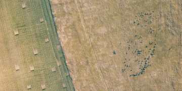 Drone Crop Monitoring: Early Stress Detection for Better Yields - Cover Image