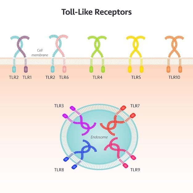 An illustrative diagram comparing CRISPR-Cas9, TALENs, and zinc finger nucleases, highlighting their mechanisms of action and key differences.