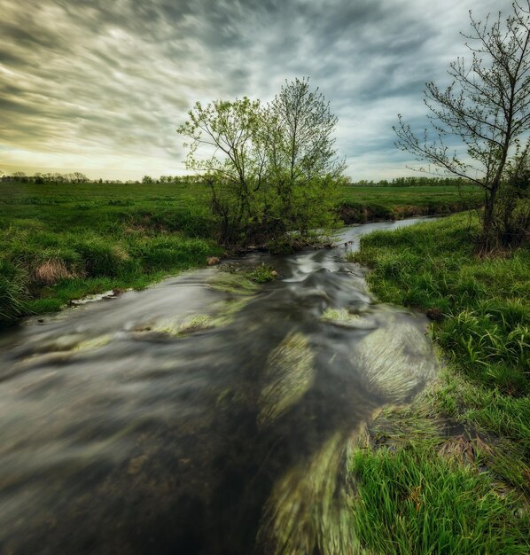 A clear stream running through a lush green field, showcasing the positive impact of reduced fertilizer runoff on water quality. The image should emphasize the importance of environmental stewardship in agriculture.