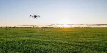 The Role of 5G in Transforming US Agriculture: Connectivity and Real-Time Data - Cover Image