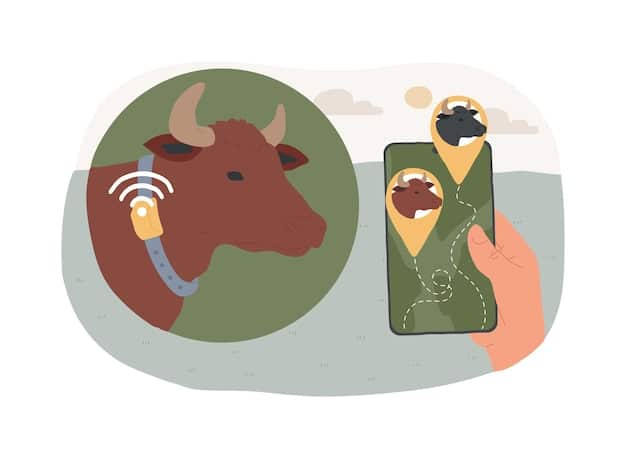 A collage showcasing different types of wearable sensors used on livestock, including smart collars, ear tags, and boluses, with annotations highlighting their specific functions.