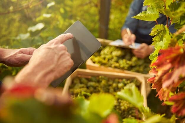 A close-up of a QR code on a package of organic vegetables. A smartphone is scanning the code, displaying information about the farm, harvest date, and organic certification.