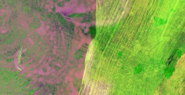 A satellite image shows a patchwork of agricultural fields, with different colors indicating varying levels of vegetation health. Data visualizations highlight particular areas of concern with overlaid graphics.