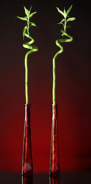 A comparative image showing two tomato plants side-by-side. One plant is treated with nanoparticles and appears healthy and vibrant, while the other plant is untreated and shows signs of disease or stress. The image should visually demonstrate the protective effect of nanotechnology.