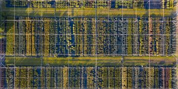 Smart Farming System: A Step-by-Step Guide for US Farmers - Cover Image