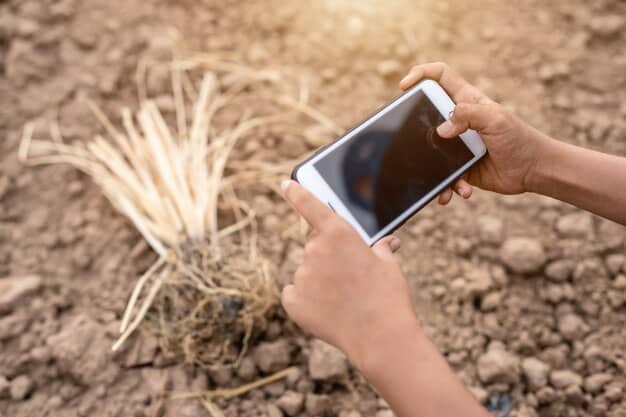 A close-up shot of a soil sensor being placed into the ground. The sensor is connected to a wireless network, and the farmer is using a mobile app to monitor its readings.