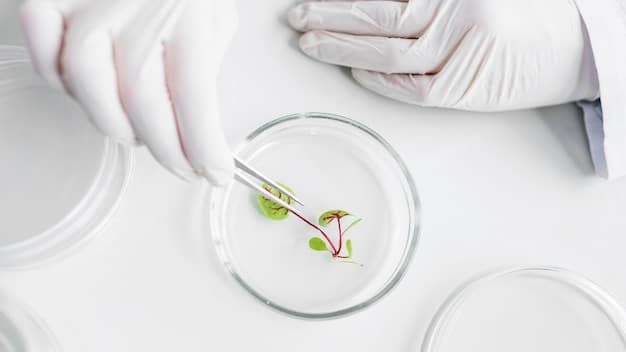 A close-up shot of a scientist in a lab coat examining a petri dish containing plant cells, symbolizing the genetic engineering process used in agricultural biotechnology.