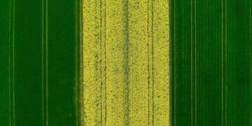 Precision Planting: Boost Yields with Optimized Seed Placement - Cover Image