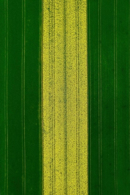 Precision Planting: Boost Yields with Optimized Seed Placement