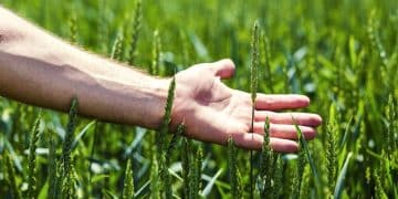 Integrated Pest Management: Reduce Pesticide Use by 30% Next Season - Cover Image