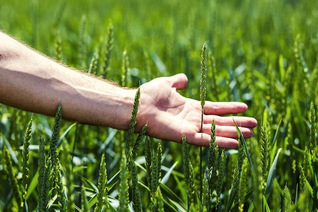 Integrated Pest Management: Reduce Pesticide Use by 30% Next Season