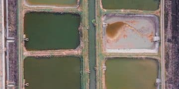 Unlocking Profit: Water Conservation's Financial Edge in Sustainable Agriculture - Cover Image