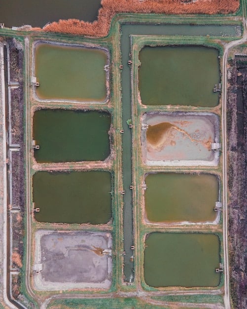 Unlocking Profit: Water Conservation’s Financial Edge in Sustainable Agriculture