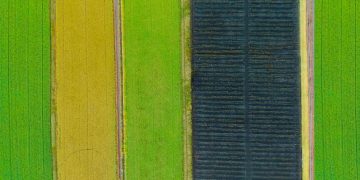 Crop Rotation: Enhancing Soil Fertility for Sustainable Agriculture - Cover Image