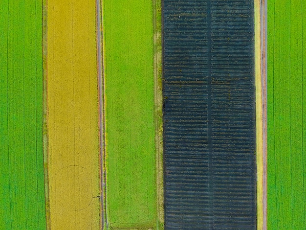 Crop Rotation: Enhancing Soil Fertility for Sustainable Agriculture