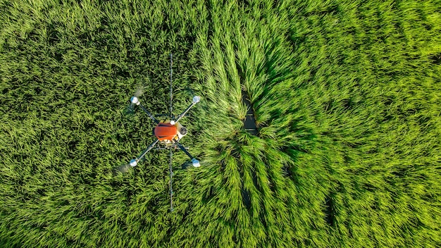 Discover the Latest Innovations in Precision Agriculture for Sustainable Resource Management