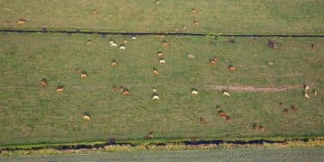 Improve Farm Biodiversity: Sustainable Land Management Practices - Cover Image