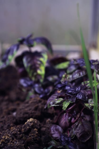 Composting Best Practices: Enhance Soil Health with Organic Matter