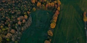 Agroforestry Techniques: Improve Soil & Boost Farm Income - Cover Image