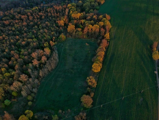 Agroforestry Techniques: Improve Soil & Boost Farm Income