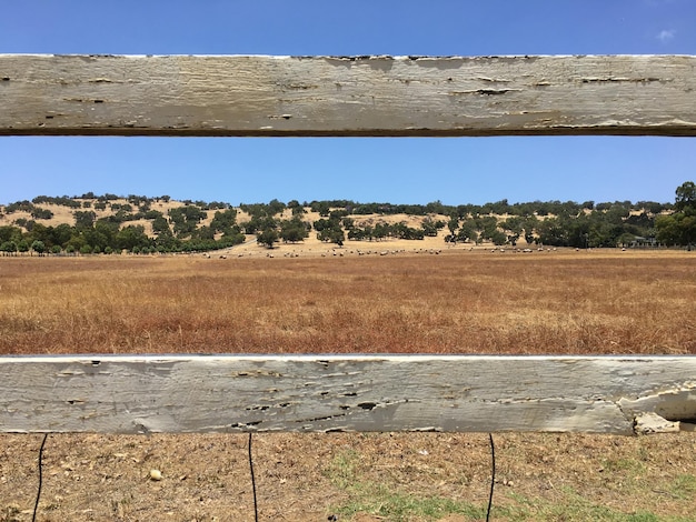 A side-by-side comparison image. On one side, show degraded farmland with eroded soil and sparse vegetation. On the other side, show the same land after the implementation of agroforestry techniques, with lush crops growing among healthy trees, terraced hillsides, and improved soil cover.