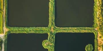 Biochar: Unlock Soil Fertility & Carbon Sequestration - Cover Image