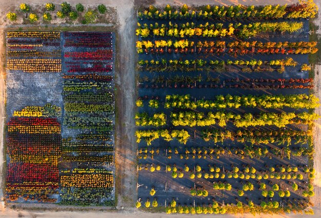 Sustainable Agriculture: New Health Benefits Research