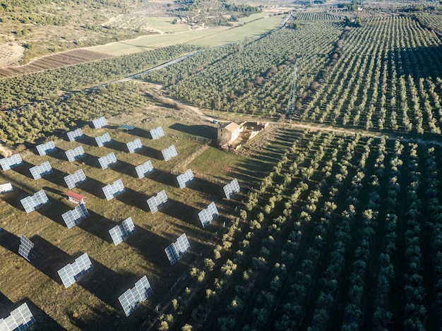 Sustainable Agriculture: A Key to Food Security and Climate Change Mitigation