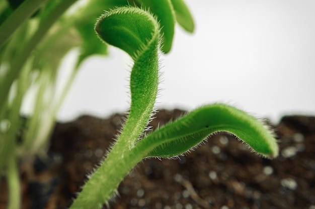 A close-up photo of a healthy soil profile with visible earthworm activity and plant roots, demonstrating the positive impact of cover crops on soil biology.