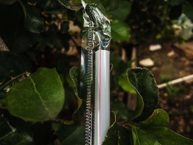 A close-up view of a drip irrigation system in a vegetable garden. The image focuses on the drip lines delivering water directly to the base of tomato plants, with minimal water wastage. Soil is visible and appears moist around the plants.