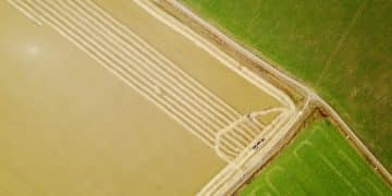 US Organic Grain Demand: Unpacking the 7% Growth Forecast Through 2025 - Cover Image