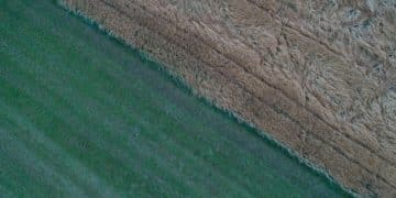 Decoding the USDA Report: Key Shifts in US Corn Export Markets - Cover Image