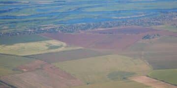 Biofuel Mandates: Projecting Soybean Price Impacts in the US Next Quarter - Cover Image