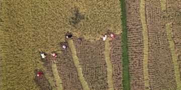 Precision Agriculture in the US: Demand Surge and 2025 Outlook - Cover Image