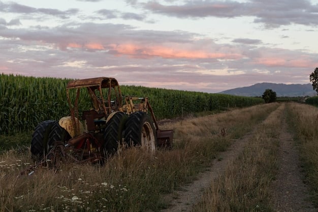 US Fertilizer Market: Decoding the 12% Nitrogen Fertilizer Price Increase